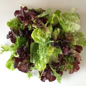 Large Salad Mix – Village Greens of Willunga Creek