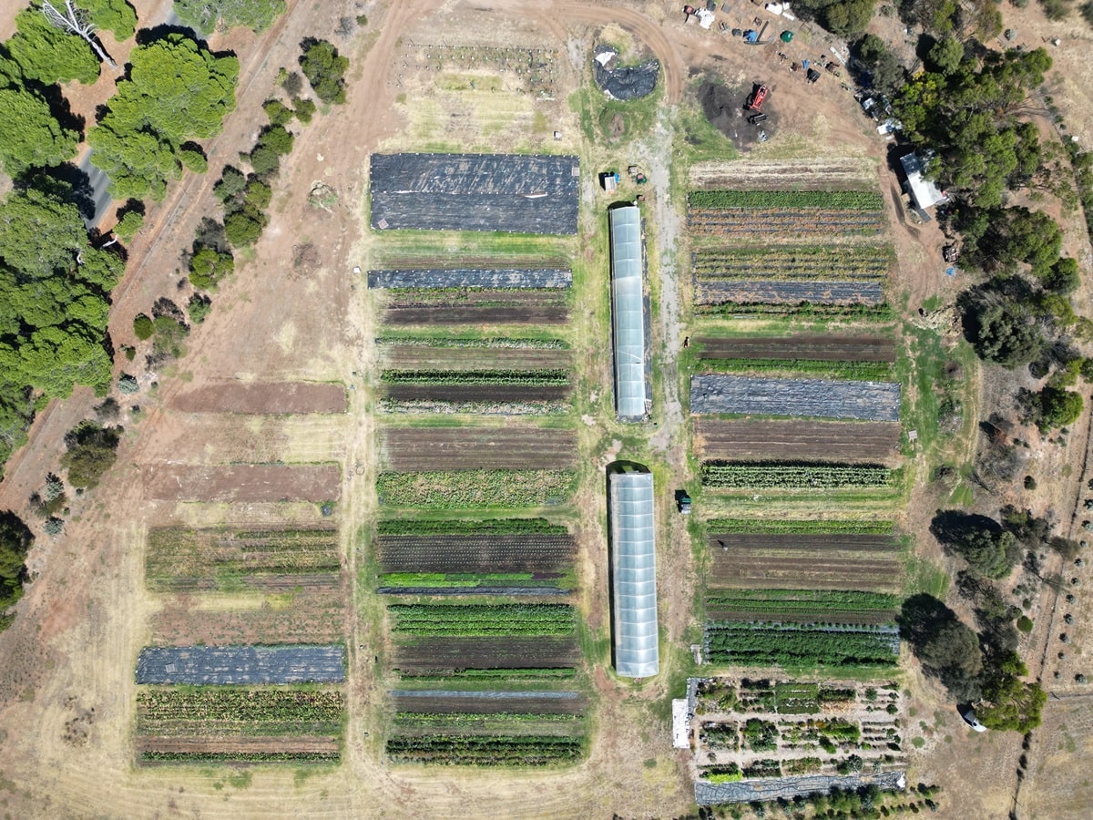 Village Greens drone shot-min Village Greens drone shot
